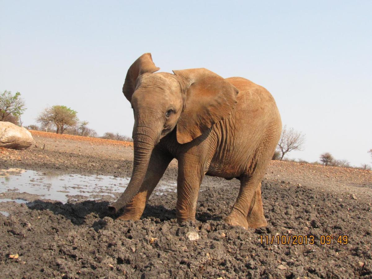 Okutala Etosha Lodge Оучо Экстерьер фото