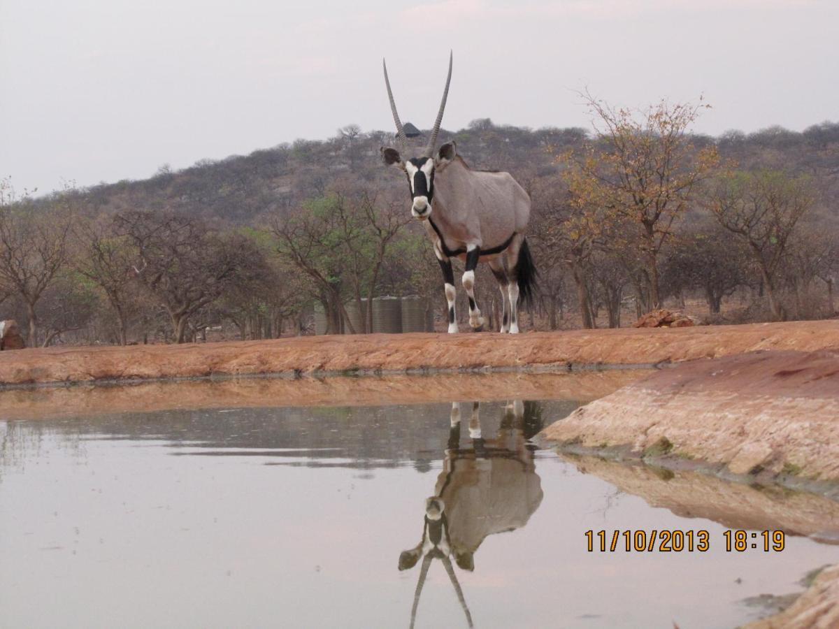 Okutala Etosha Lodge Оучо Экстерьер фото